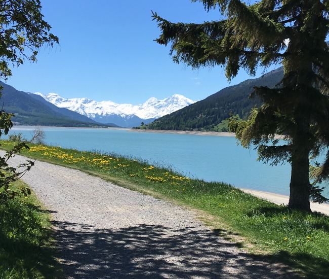 Seeweg